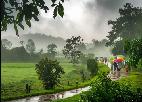 छत्तीसगढ़ में अब तक 85% बारिश दर्ज: मैदानी इलाकों में झमाझम बरसे बदरा, सारंगढ़-बिलाईगढ़ में रिकॉर्ड तोड़ वर्षा; बस्तर-सरगुजा में सूखा सा हाल