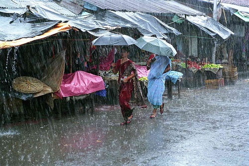 छत्तीसगढ़ में मानसून की चाल पड़ी तेज, रायपुर और बस्तर संभाग में अगले 24 घंटे भारी बारिश का अलर्ट