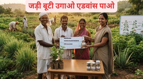 छत्तीसगढ़ में जड़ी, बूटी, औषधीय पौधे उगाओ, एडवांस में लाखों पाओ, राज्य सरकार ने जारी की प्रोत्साहन राशि