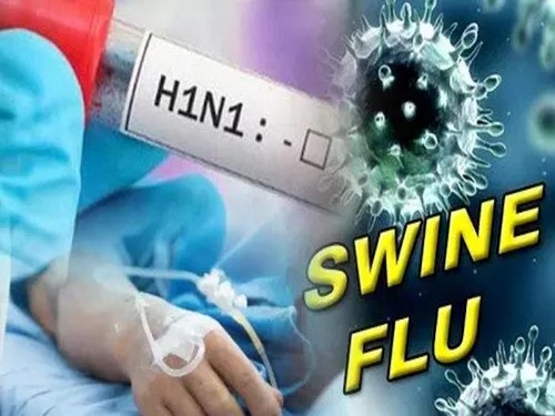छत्तीसगढ़ में स्वाइन फ्लू के 15 नए मरीज मिले, राज्य में आंकड़ा 176 पहुंचा, अब कुल एक्टिव मरीज 45