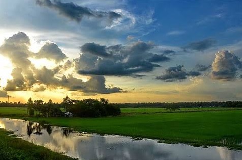 छत्तीसगढ़ में मानसून की रफ्तार धीमी, उमस ने बढ़ाई लोगों की परेशानी; बुधवार से फिर सक्रिय हो सकता है मौसम